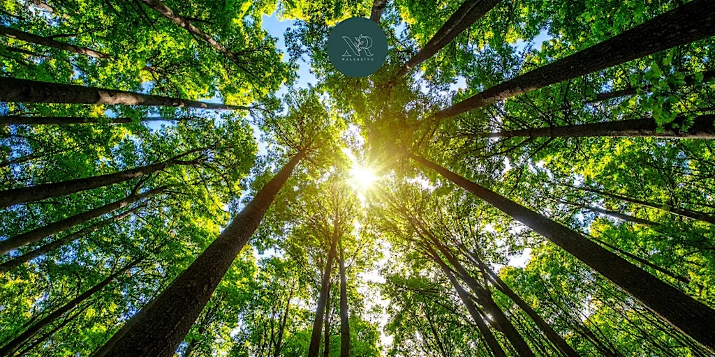 Summer nature walk & journaling at Beesley Green Community Centre