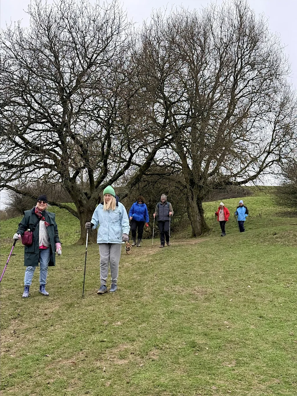 Green Walks (14/11) - Chosen Hill (Challenging) at Chosen Hill