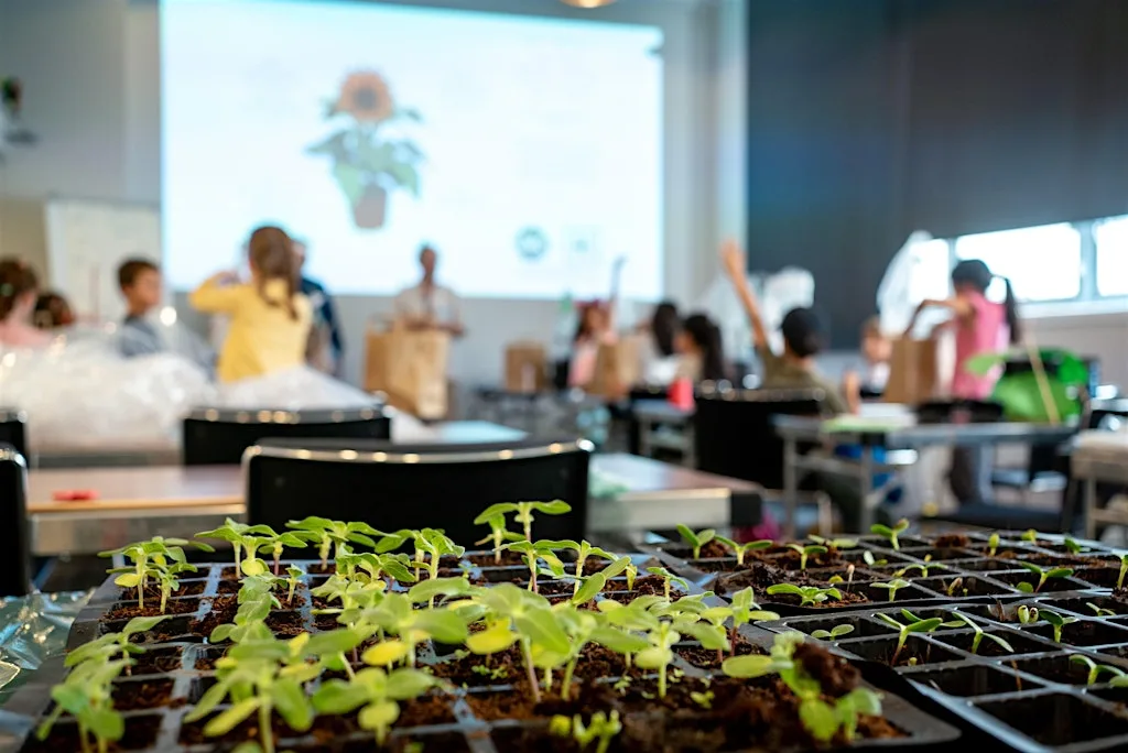 Holiday workshops: Architecture for plants (Year 3 - 6)