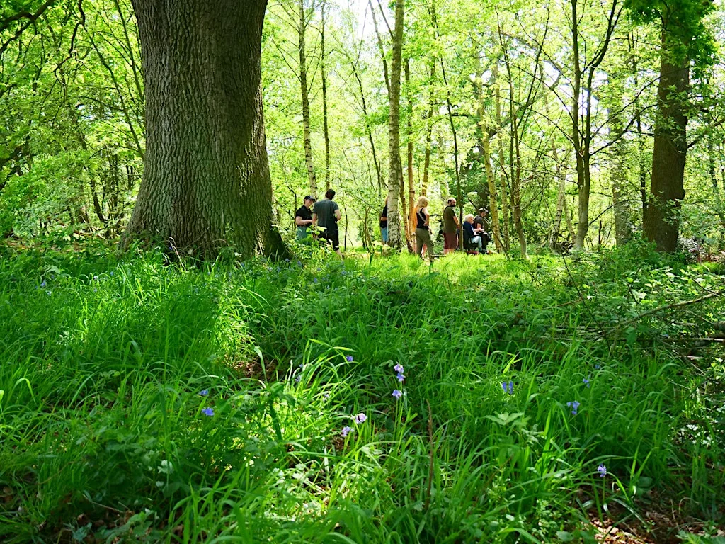 NWT Sweet Briar Marshes - Explore with the warden (Adult event) at bmx track