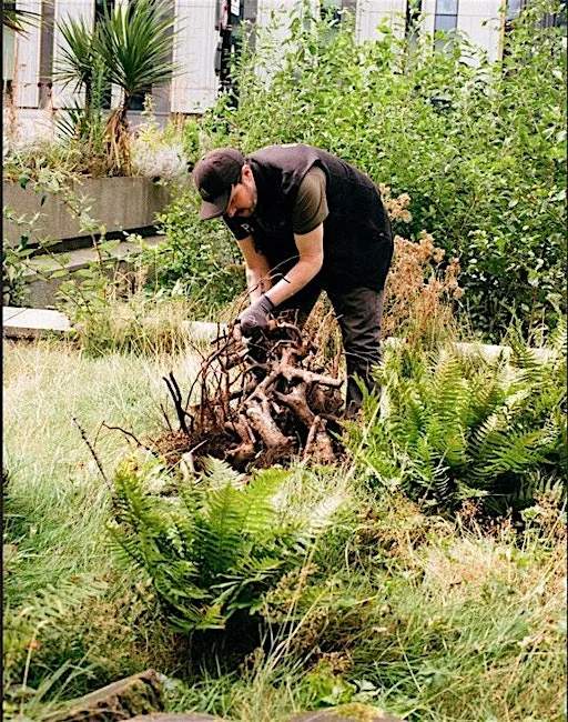 Wildlife Gardening Club “Deadwood” at Altogether Otherwise