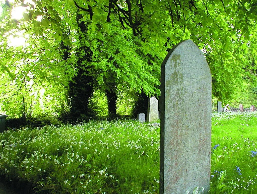 Five steps to creating a simple management plan for your churchyard