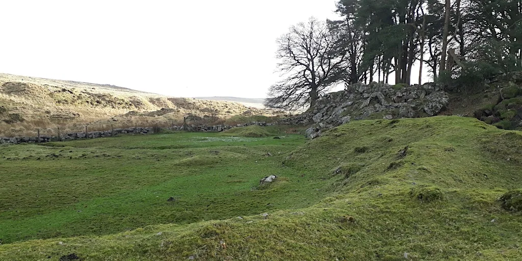 Surveying grasslands in winter - 1 day course in Devon