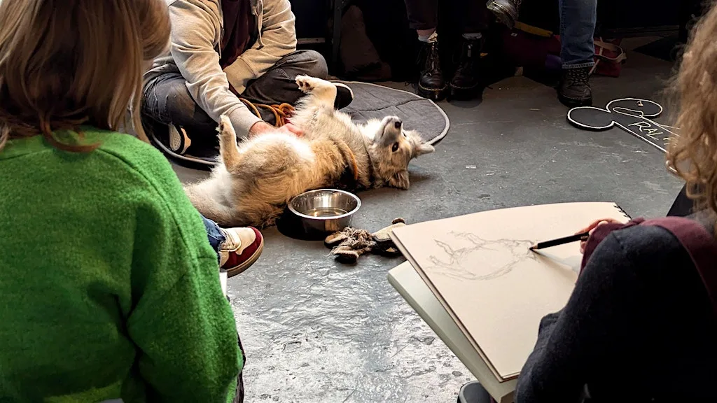 Dog Life Drawing at The Greenhouse, Bedminster, Bristol - Summer Season at The Greenhouse XSUK
