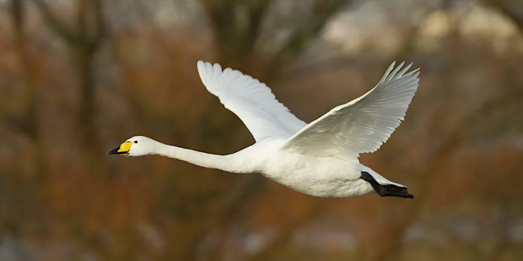 Daniel Bridge Photography - Know The Basics