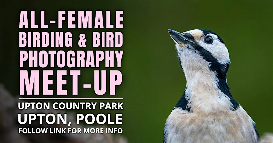 All-Female Birding & Bird Photography at Upton Country Park