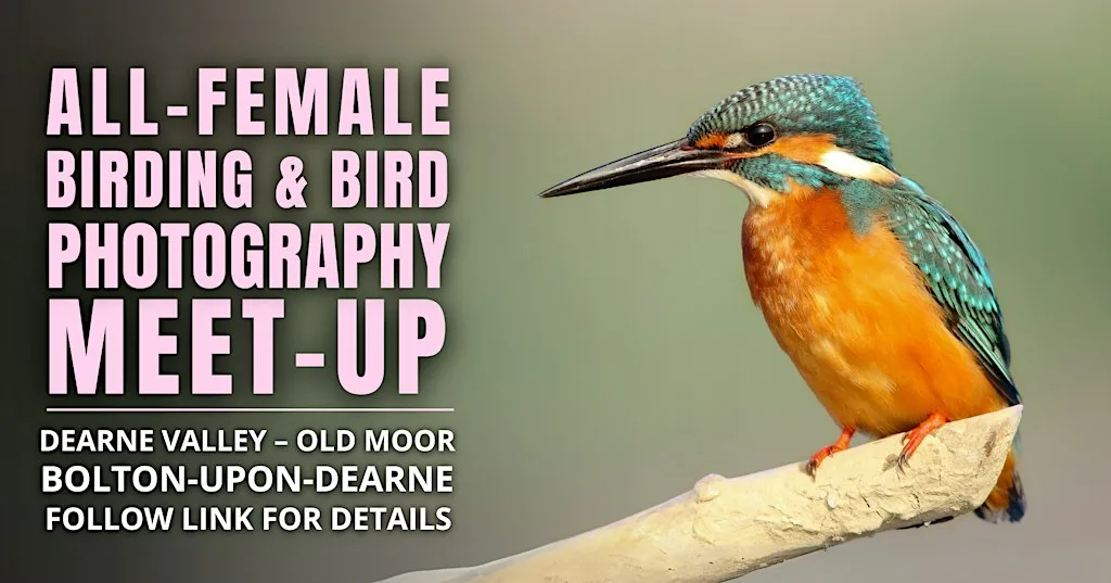 All-Female Birding & Bird Photography Morning