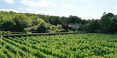 Danebury Vineyards - Vineyard Tour & Tasting