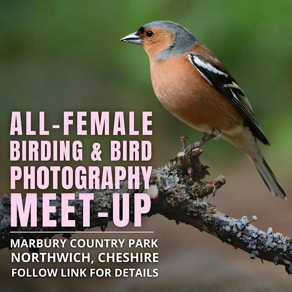 All-Female Bird & Bird Photography Morning at Marbury Country Park