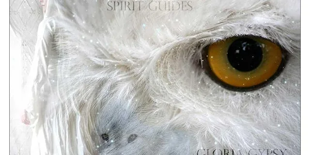 Accredited Shamanic Practitioner Training