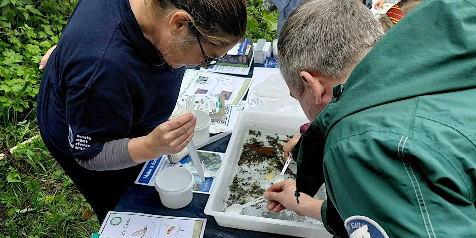 FREE Family Activity Drop-in: Woosehill Meadows