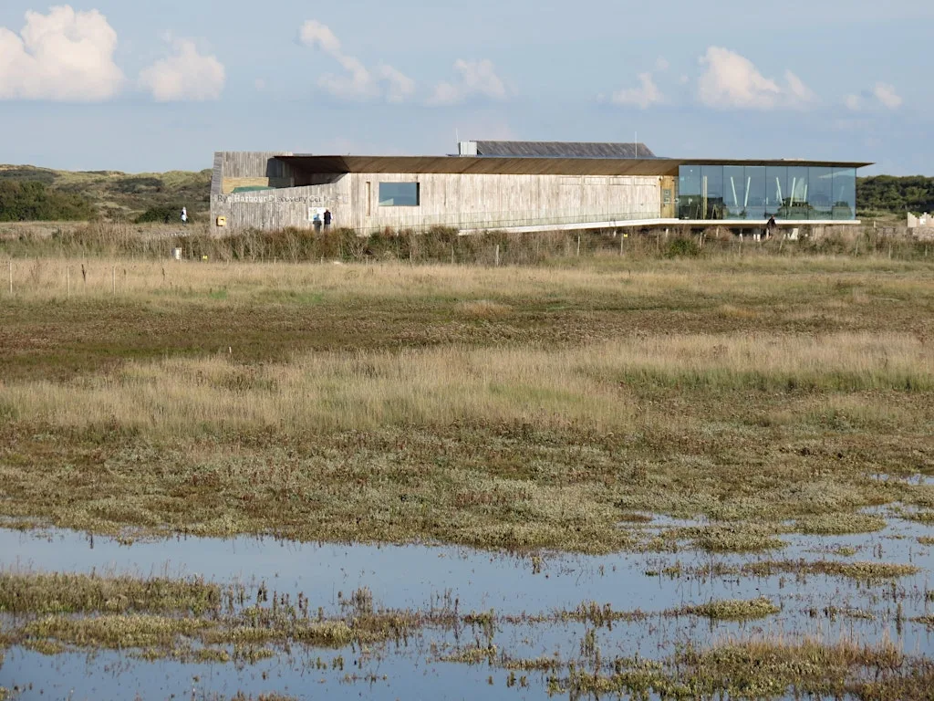 Corporate Wild Work Day: Conservation Day at Rye Harbour Nature Reserve at Rye Harbour Nature Reserve