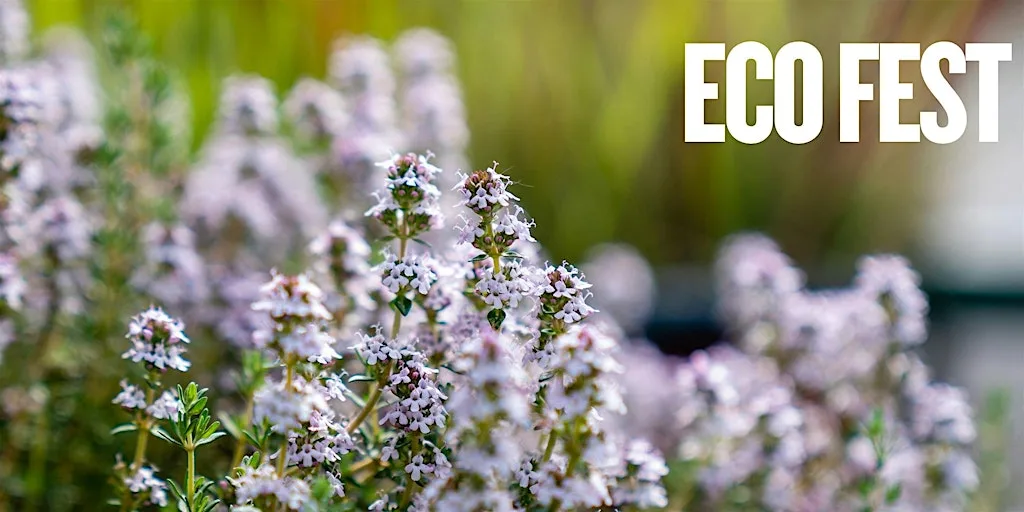 Eco Fest – Seed Bombs & Sharing
