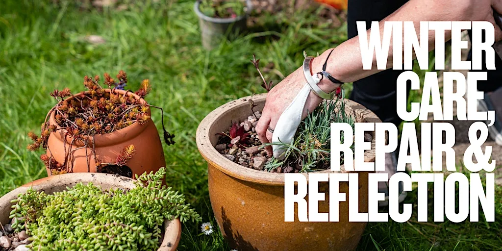 Winter Care, Repair & Reflection