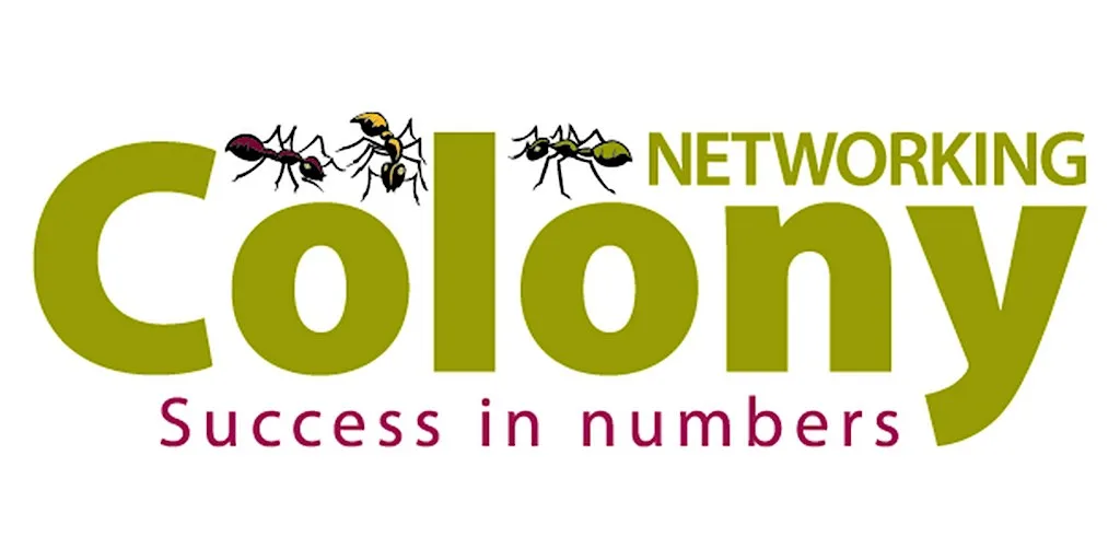 Wrexham Networking With Colony Networking