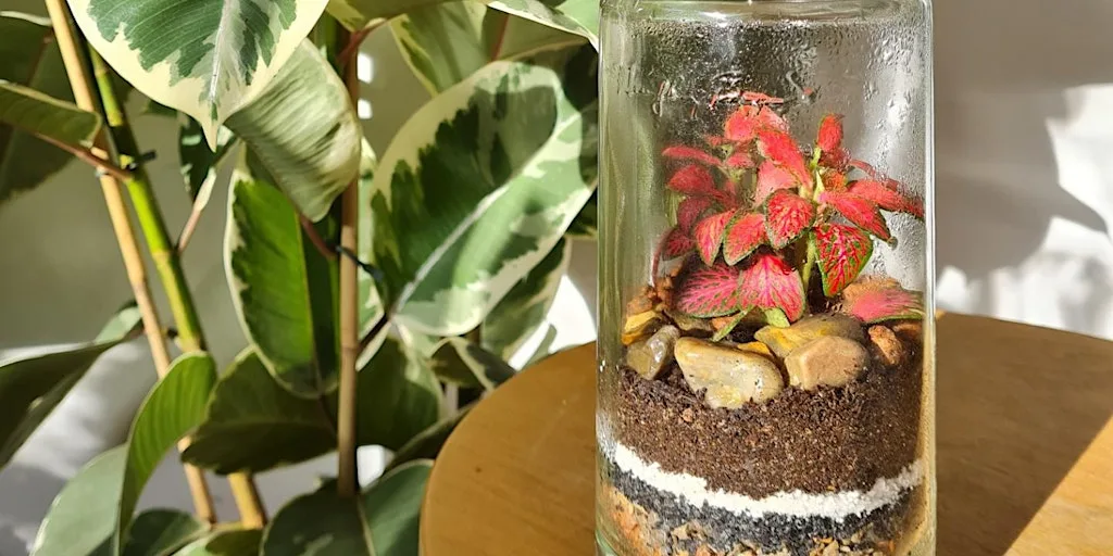 Terrarium Workshop at Attenborough Nature Reserve