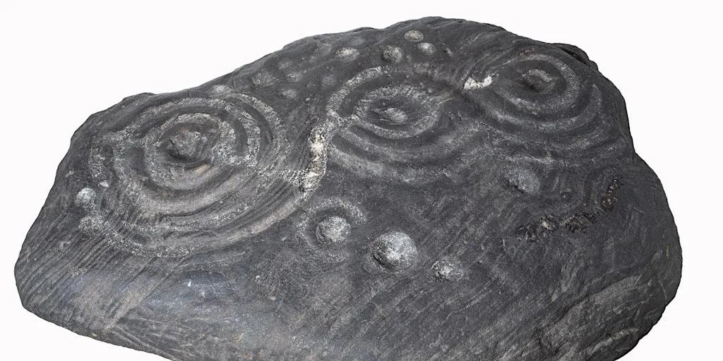 Twilight Tour: Archaeological Objects from Prehistoric Glasgow at Kelvin Hall Open Collections