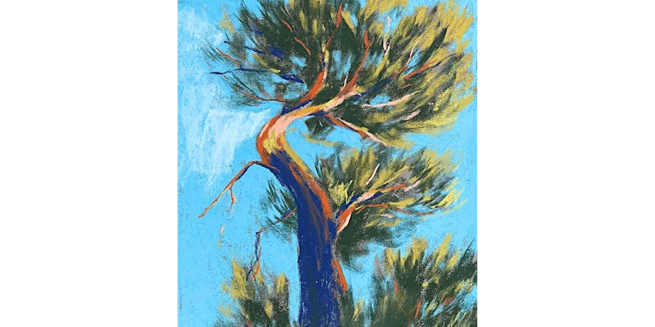 Expressive Trees in Charcoal with Emily Rose Fine Art at The Craft House