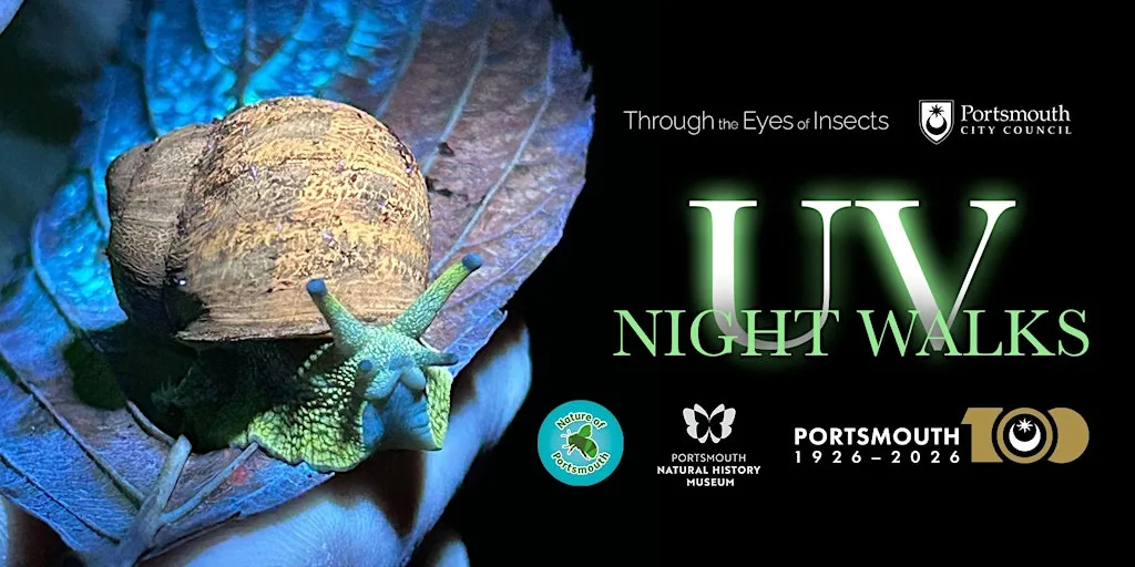 Portsmouth Natural History Museum UV Night Walk at Portsmouth Natural History Museum