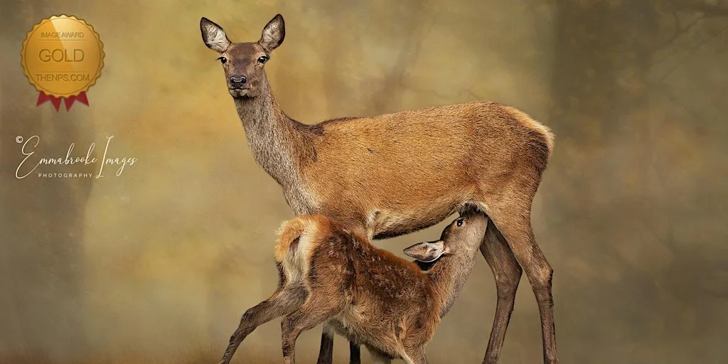 For The Love of Wildlife at Aqueduct Cottage