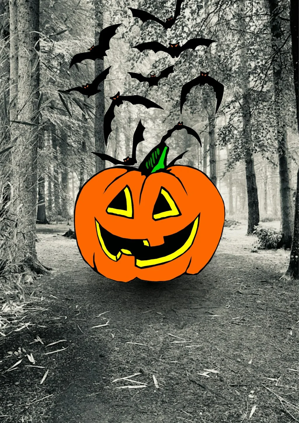 Castle Fraser's Family Friendly Halloween Trail at Castle Fraser, Garden & Estate (National Trust for Scotland)