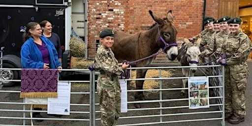 Brave Tails : Animals who served at The Museum of The Queen’s Royal Hussars