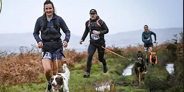 MINI CANI-TRAIL