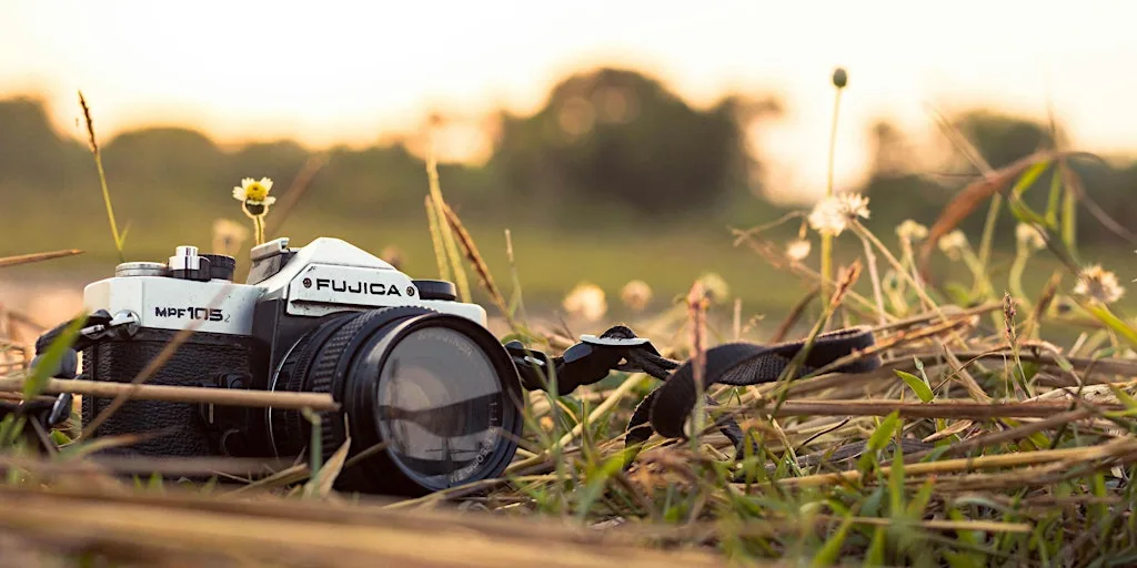 Discover the Art of Nature Photography: A Beginner’s Workshop