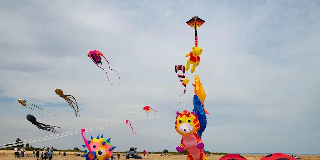 Naze Kite Weekend at The Naze Nature Discovery Centre