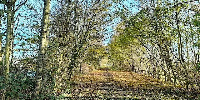 Volunteer day at the Lymm Railway Line
