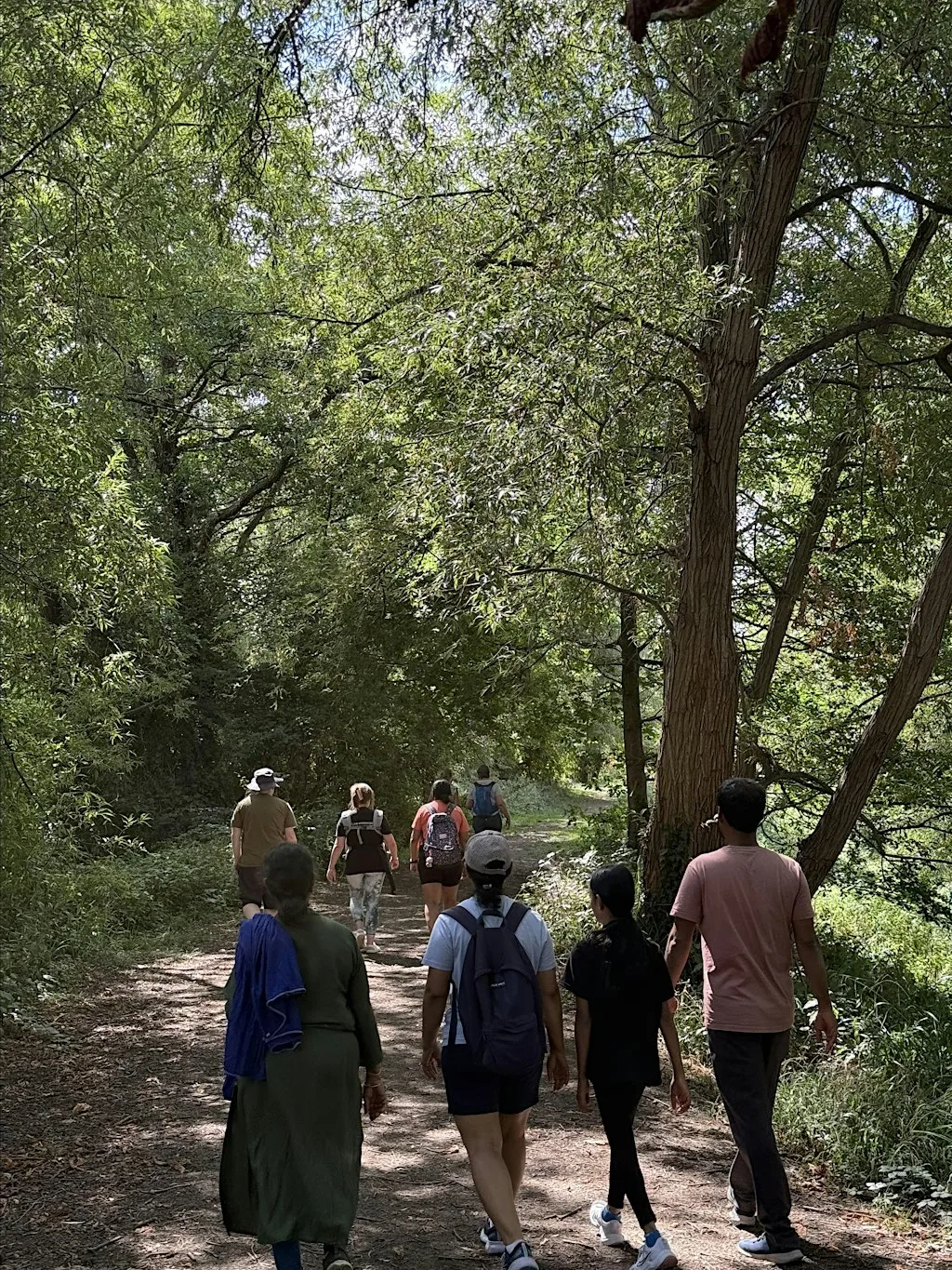 Green Walks (28/11) - Cooper's Hill Route B (Challenging) at TBD