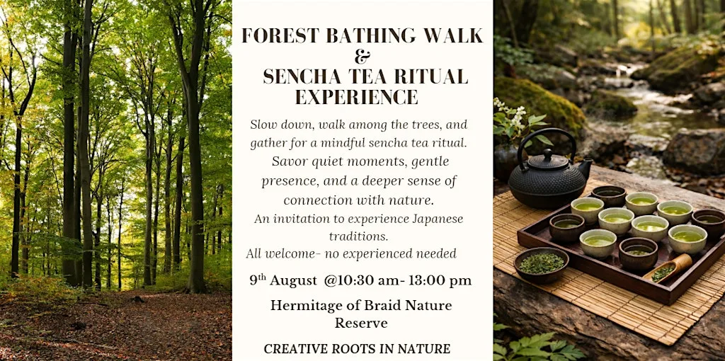 Forest Bathing Walk & Sencha Tea Ritual Experience at Midmar Drive