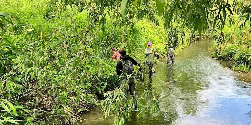 Rose Walk Rewilding Day at Rose Walk Nature Reserve