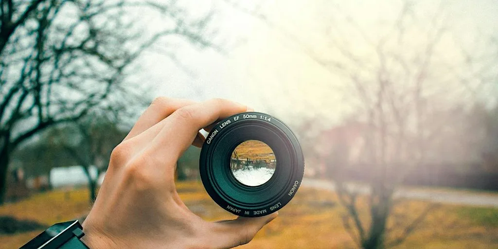 Creative Nature Photography for Improvers: Elevate Your Vision