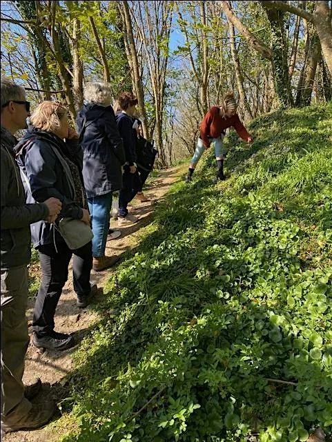 Beginner's Hedgerow Forage at The Really Wild Emporium