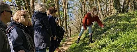 Beginner's Hedgerow Forage at The Really Wild Emporium