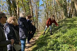 Beginner's Hedgerow Forage