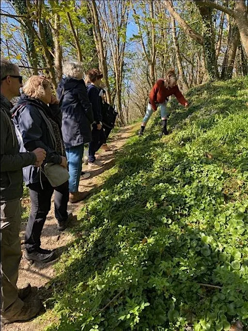 Beginner's Hedgerow Forage at The Really Wild Emporium