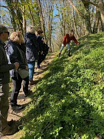 Beginner's Hedgerow Forage at The Really Wild Emporium
