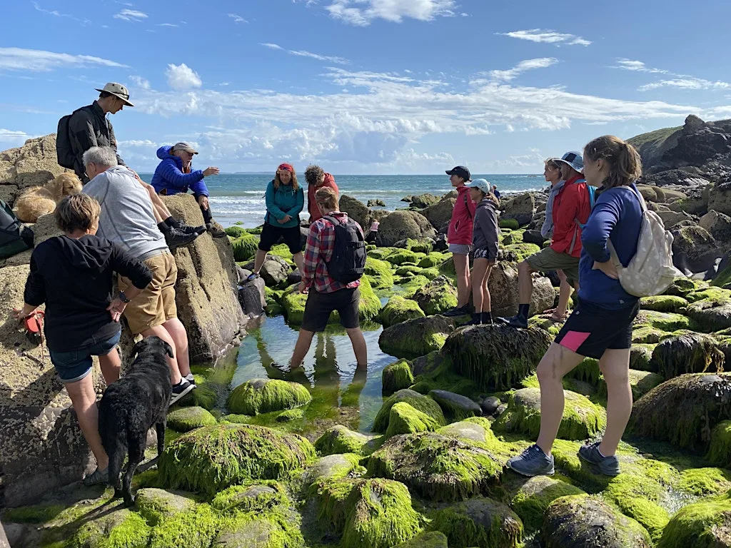 Seashore Forage at The Really Wild Emporium