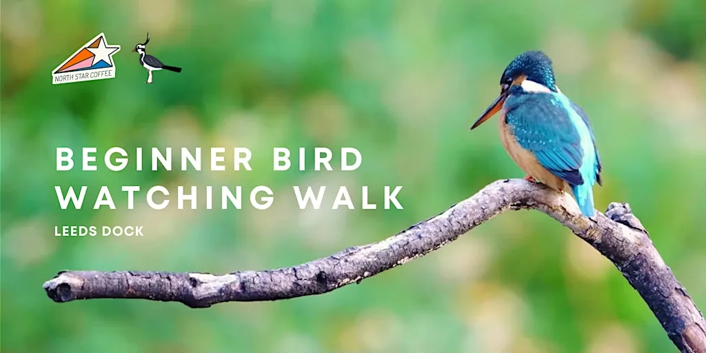 Beginner Birdwatching Walk at Leeds Dock - Leeds Lapwings x North Star at North Star Coffee Shop