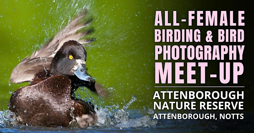 All-Female Birding & Bird Photography Morning