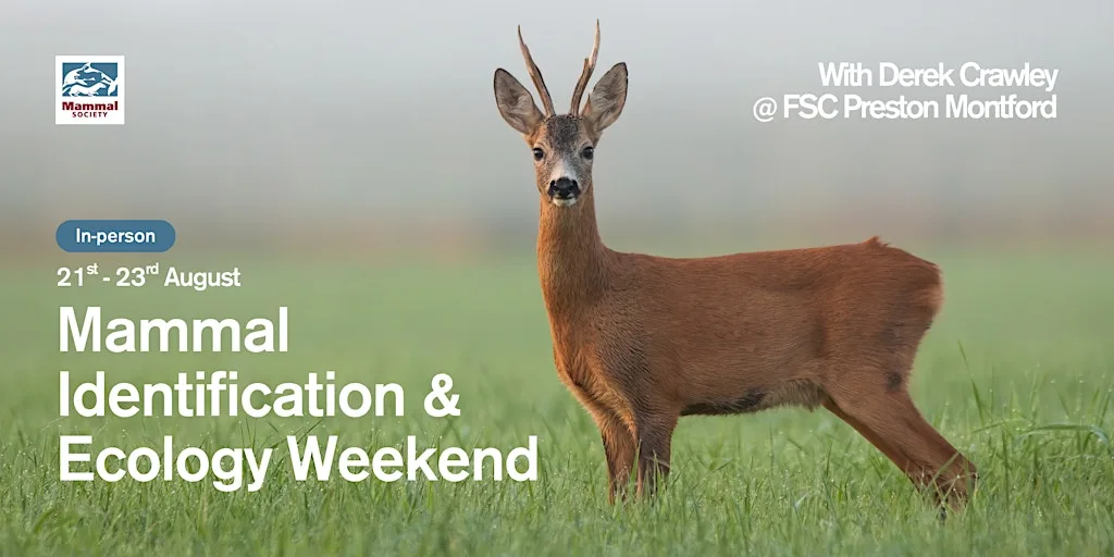 Mammal Identification and Ecology Weekend