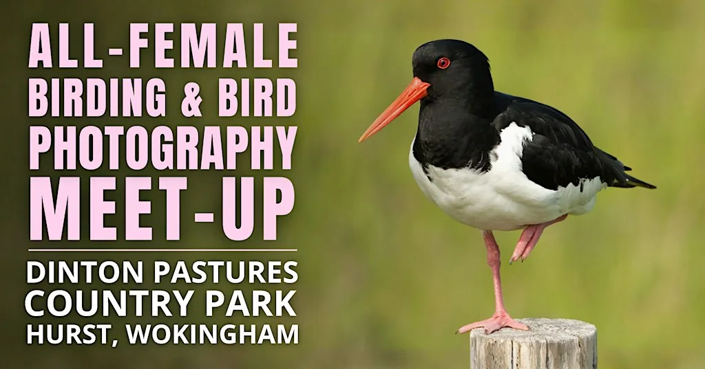 All-Female Birding & Bird Photography Morning