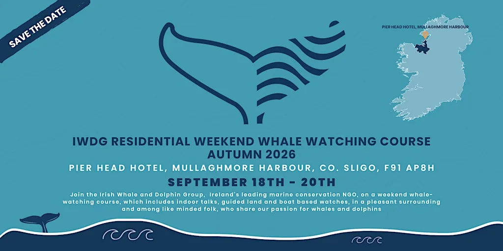 Sligo/Donegal Bay, IWDG Weekend Whale Watching Course (Residential) at Pier Head Hotel, Spa & Leisure Centre F91 AP8H