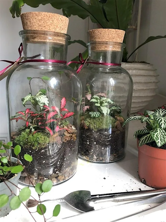 Create a Bottle Terrarium Workshop at Severn Gorge Countryside Trust