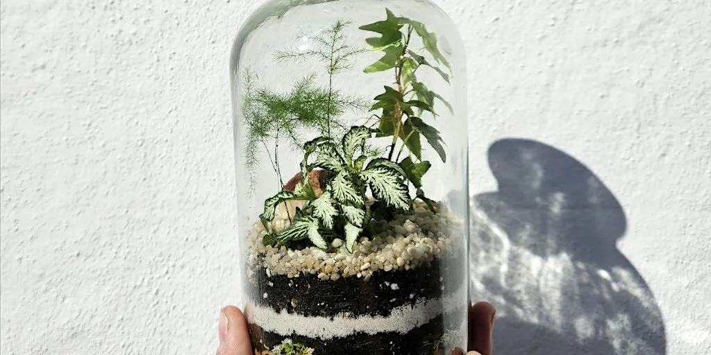 Small Closed Terrarium Workshop at 91 Trafalgar St