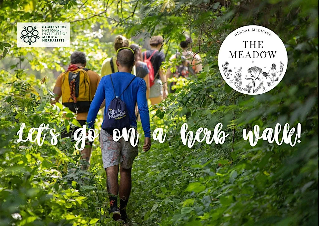 Medicinal Herb Walk in Slades Park Bournemouth at Slades Park Pavilion