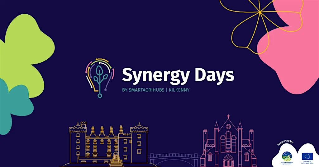 Synergy Days 2026 at The Newpark Hotel