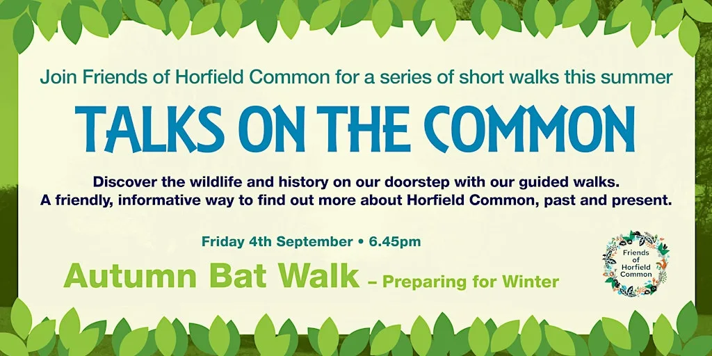 Autumnal Bat Walk – Preparing for Winter at Horfield Common at Horfield Common